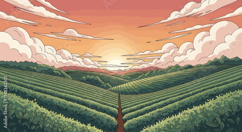 Sunset over rolling fields of green crops