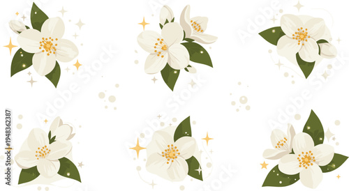 Delicate White Flower Illustrations with Green Leaves and Sparkling Effects for Fresh and Elegant Floral Designs