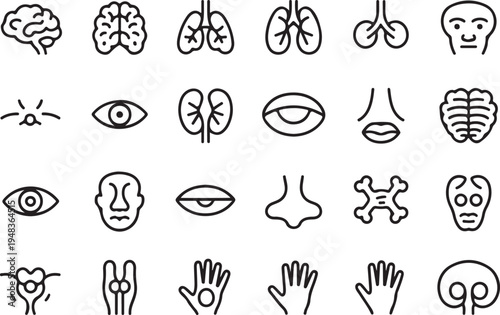 Comprehensive Human Anatomy Line Icon Set - Large Collection of Organ and Body Part Symbols