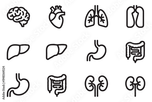 Vital Human Organs Outline Icon Set - Heart, Brain, Lungs, and Digestive System Icons
