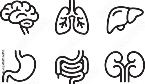 Minimalist Human Organ Outline Icons Featuring Brain Lungs Liver Stomach Intestines and Kidneys
