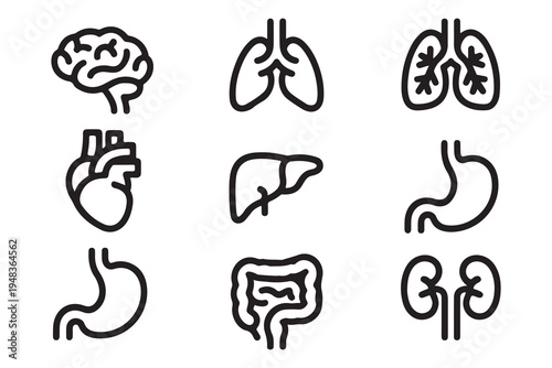 Human Internal Organs Line Icon Set Including Brain Lungs Heart Liver Stomach Intestines and Kidneys