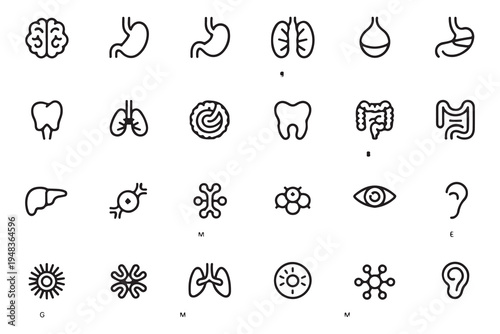 Human Anatomy and Medical Science Line Icons Set with Internal Organs and Biological Symbols