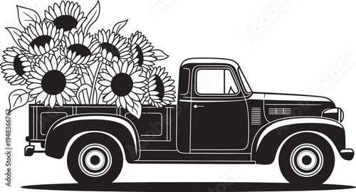 Old farmer truck full of sunflowers vector illustration, vintage farm pickup transporting harvest