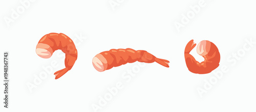Three cartoon shrimp in soft orange hues. One curls into a C, another lies flat, the third bends upward. Simple lines define their segmented bodies. Light background enhances their playful design