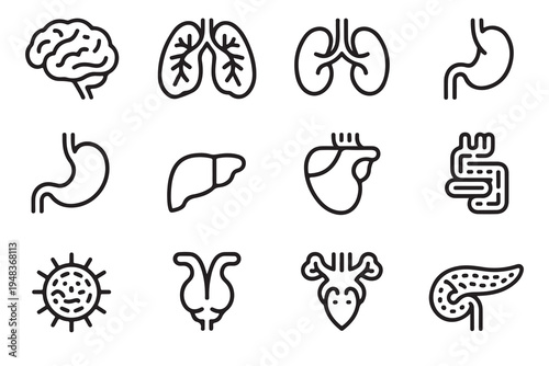 Human Body Internal Organs and Virus Line Icon Set for Medical and Scientific Presentations