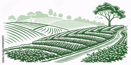 a green illustration of a vineyard with a tree Vector