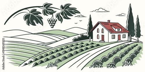 a house on a vineyard with a red roof Vector