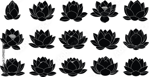 Black lotus flowers in various stages white silhouettes