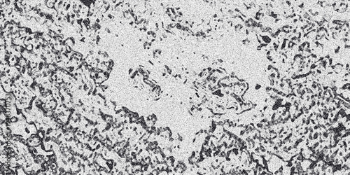 Close-up abstract monochrome texture with irregular organic shapes and speckled noise, resembling a cellular structure or a weathered surface for backgrounds