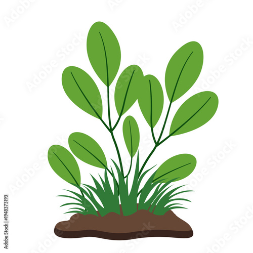 Green plant with oval leaves and grass at base, ideal for nature illustrations and decorative botanical elements with flat vector style.