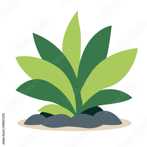 Green plant with large broad leaves in varying shades growing from rocks, perfect for nature illustrations and decorative botanical elements with flat vector style.