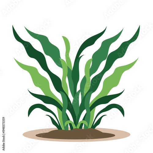 Green plant with wavy flowing leaves ideal for decorative graphics, nature illustrations, aquatic elements, and botanical designs with flat vector style.