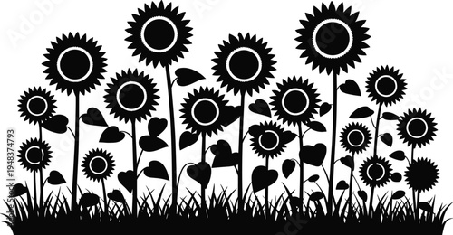 WebVector illustration of sunflower silhouettes, blooming flowers, grassy field, decorative floral design, botanical art, garden motif, nature outline, plant sketch