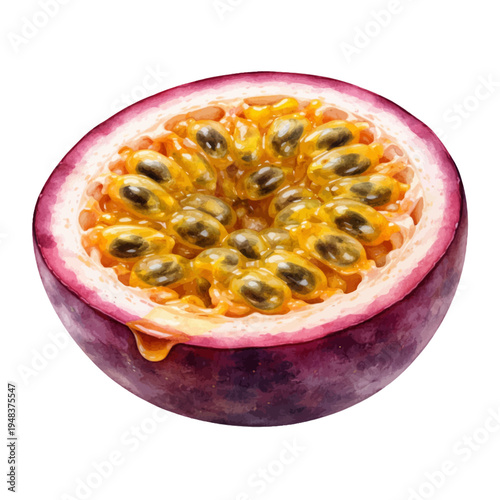 A watercolor illustration of a passion fruit half for tropical fruit designs, exotic food illustrations, and fresh summer ingredient artwork.