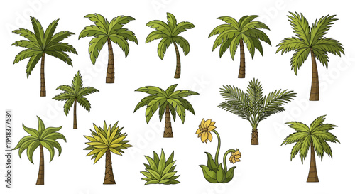 Collection of various palm trees and plants.
