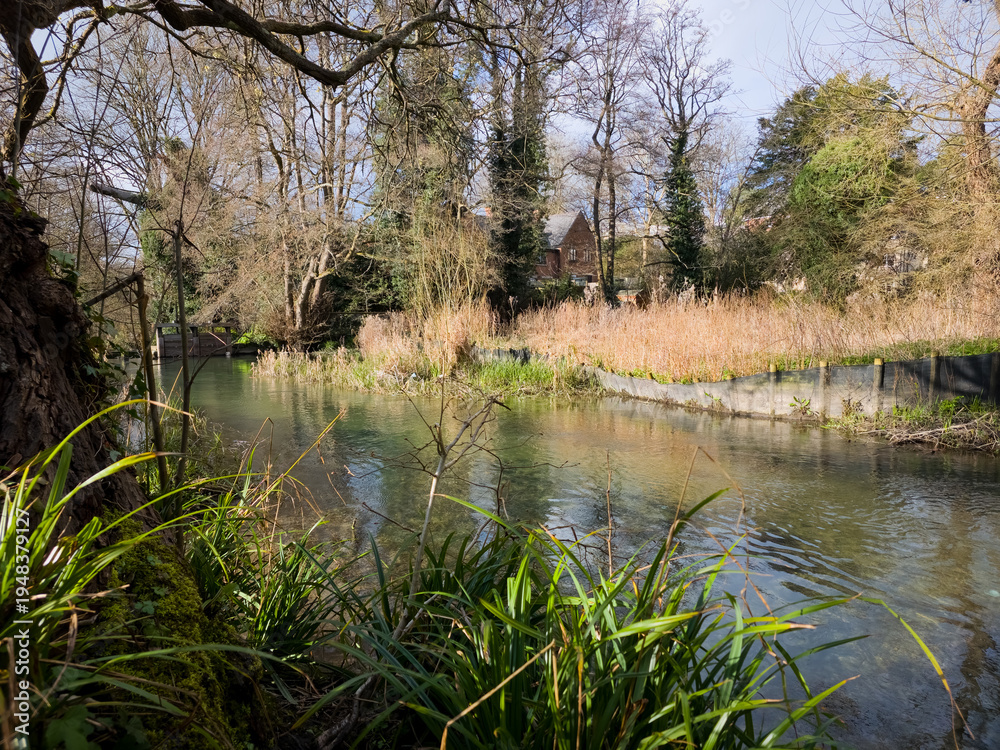 Fototapeta premium Canal Towpath witha Tree Reflections in Spring, Stroudwater Navigation, Stroud, Gloucestershire, England