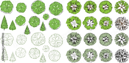 Tree Plan and Elevation Vector Set 