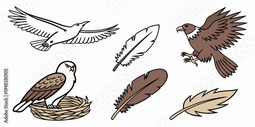 eagle and feathers in a nest Vector