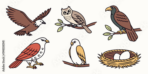 a collection of six different bird species Vector