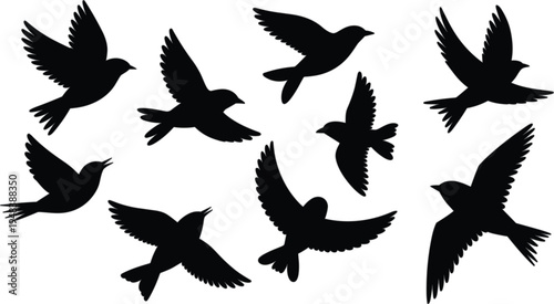 Collection of black bird vector silhouettes featuring various birds in flight with spread wings for nature and wildlife decorative design.