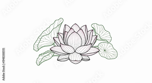 Delicate lotus flower and leaves, outlined and colored with soft hues