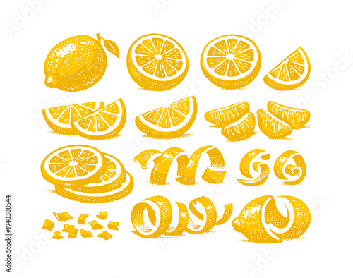 Various lemon slices and peels in detailed vintage illustration