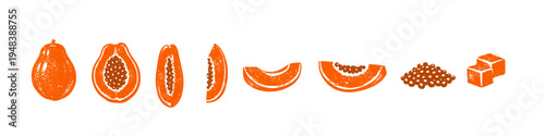 Papaya illustrations showing whole fruit, slices, seeds, and cubes in orange stencil style