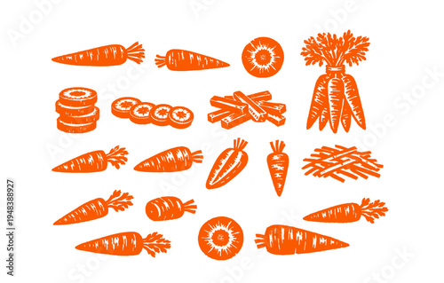 Orange carrot icons: whole, sliced, diced, bundles - white background