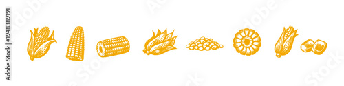 Illustration of various corn forms and styles in yellow