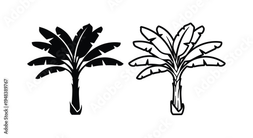 Two banana plant illustrations in contrasting black and white styles