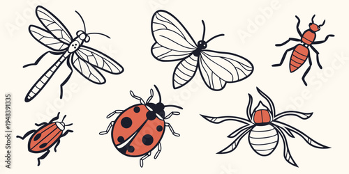 a group of insects including a ladybug and beetles Vector
