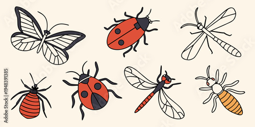 a collection of insects including ladybugs and dragonflies Vector