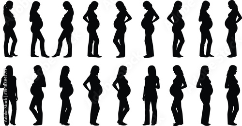 Pregnant woman silhouette collection maternity body shape stages standing poses expecting mother vector illustration isolated pregnancy concept set