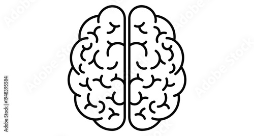 A detailed line drawing depicts a human brain with clearly defined cerebral hemispheres