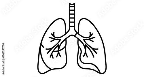 Simple line drawing illustrating the human lungs and their branching bronchial structure