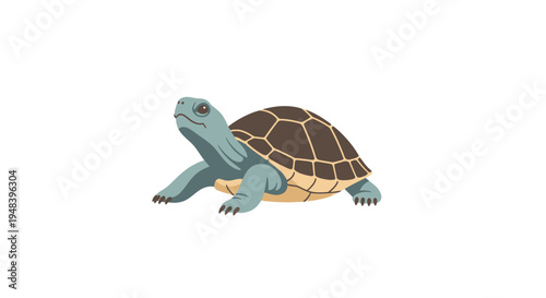 Turtle Walking on Land Slowly Alone.