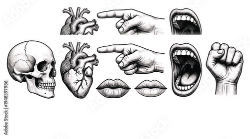 Set of 9 detailed black and white human anatomy and gesture vector illustrations including skull, heart, pointing hands, open mouths, and lips for medical, educational