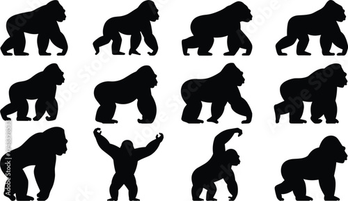 silhouette animal vector  animals  