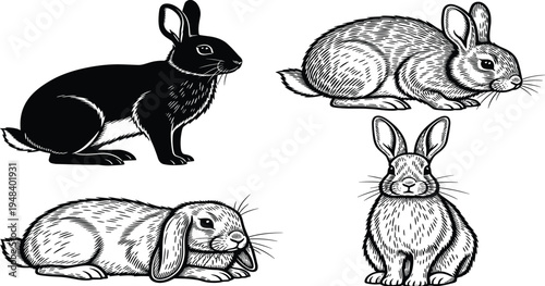 Four rabbits in different poses and shading styles black and white animals mammals furry