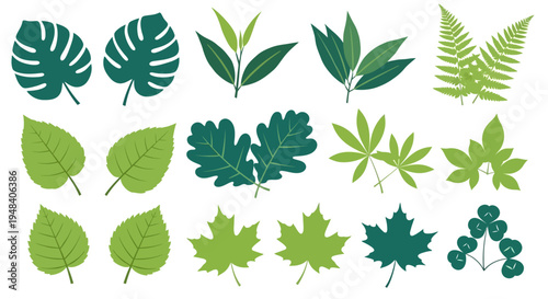 A Collection of Various Green Leaf Silhouettes for Design and Decorative Purposes