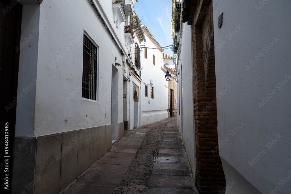 Fototapeta premium Calle de la Judería de Córdoba
