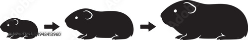 Guinea Pig Growth Cycle Silhouette Vector Illustration