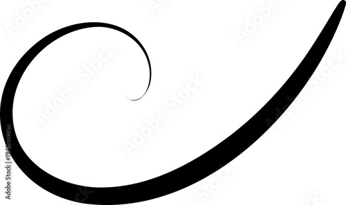 Flourish Swirl Calligraphy Line
