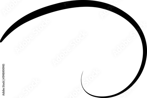 Flourish Swirl Calligraphy Line