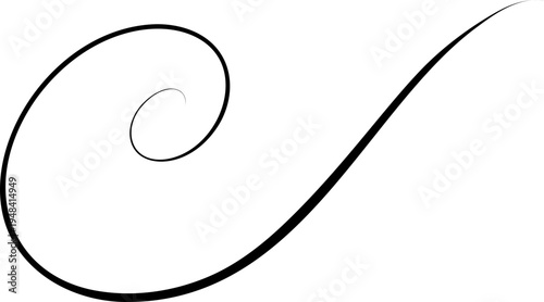 Flourish Swirl Calligraphy Line