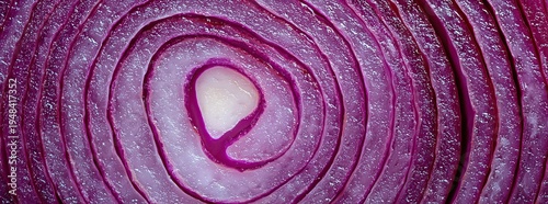 Panoramic banner of red onion close-up