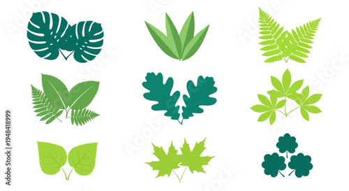 Diverse green leaf illustrations, perfect for botanical design projects. These graphic elements add an organic and refreshing touch, celebrating nature's foliage and creative aesthetics