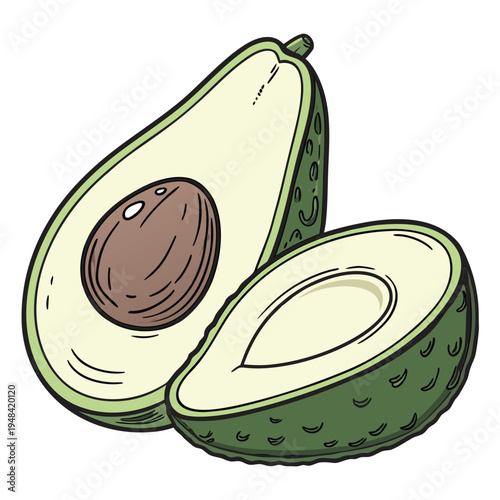 Colorful of two halves of a ripe avocado fruit green