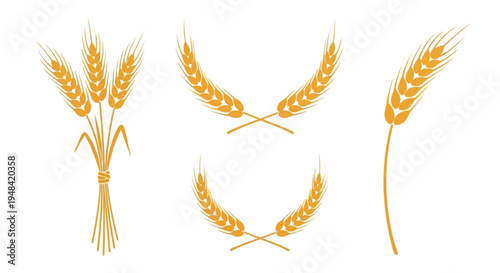 Set of golden wheat stalks and ears, elegantly arranged in various forms including a tied bunch and decorative wreaths, symbolizing harvest and abundance